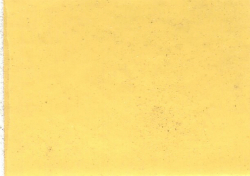 1985  International Saffron Yellow
